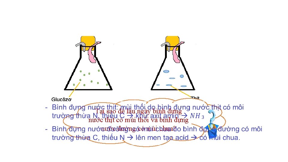  Thịt Glucôzơ Tại sao để lâu ngày bình đựng nước thịt có mùi