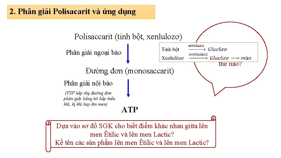 2. Phân giải Polisacarit và ứng dụng Polisaccarit (tinh bột, xenlulozơ) Phân giải ngoại