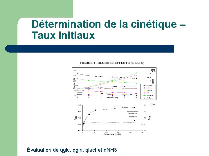 Détermination de la cinétique – Taux initiaux Évaluation de qglc, qgln, qlact et q.