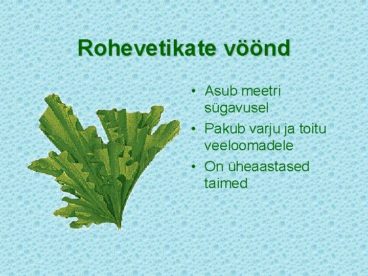 Rohevetikate vöönd • Asub meetri sügavusel • Pakub varju ja toitu veeloomadele • On