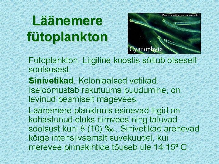 Läänemere fütoplankton Fütoplankton. Liigiline koostis sõltub otseselt soolsusest. Sinivetikad. Koloniaalsed vetikad. Iseloomustab rakutuuma puudumine,