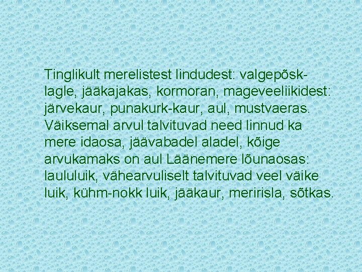 Tinglikult merelistest lindudest: valgepõsklagle, jääkajakas, kormoran, mageveeliikidest: järvekaur, punakurk-kaur, aul, mustvaeras. Väiksemal arvul talvituvad