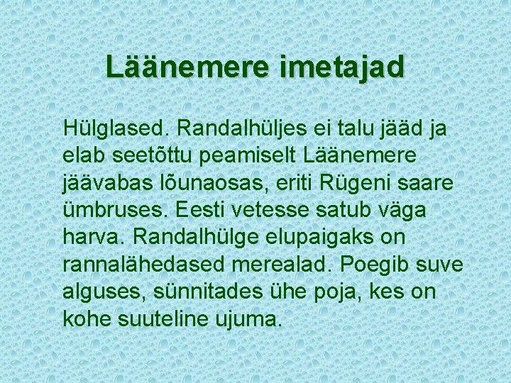 Läänemere imetajad Hülglased. Randalhüljes ei talu jääd ja elab seetõttu peamiselt Läänemere jäävabas lõunaosas,