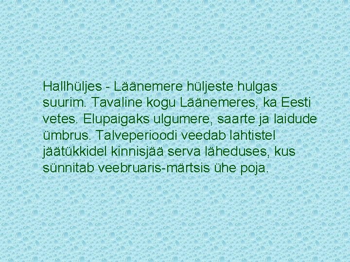 Hallhüljes - Läänemere hüljeste hulgas suurim. Tavaline kogu Läänemeres, ka Eesti vetes. Elupaigaks ulgumere,