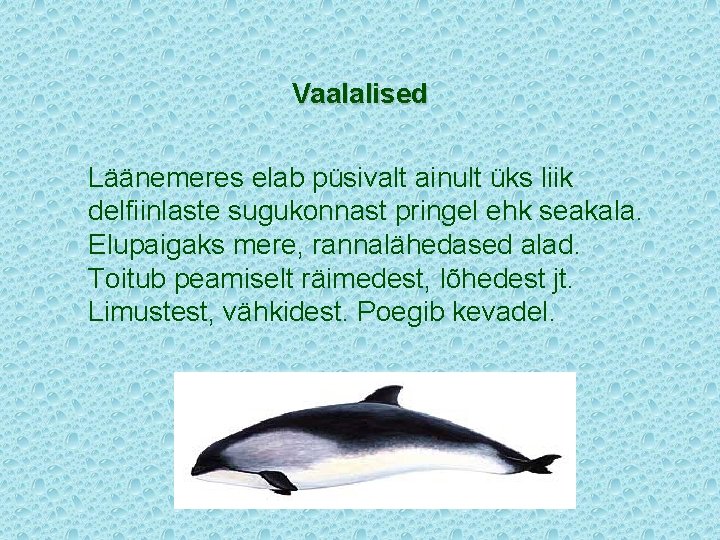 Vaalalised Läänemeres elab püsivalt ainult üks liik delfiinlaste sugukonnast pringel ehk seakala. Elupaigaks mere,