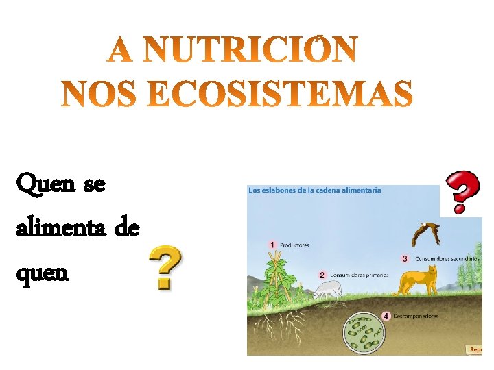 Quen se alimenta de quen 