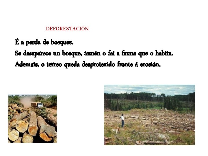 DEFORESTACIÓN É a perda de bosques. Se desaparece un bosque, tamén o fai a