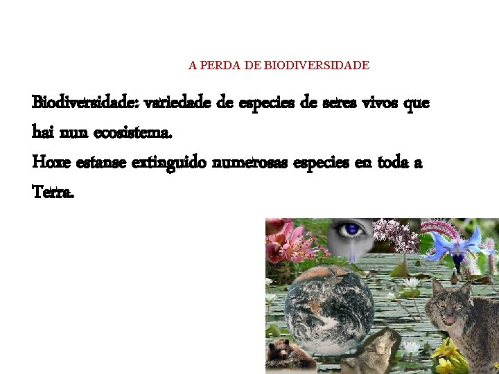 A PERDA DE BIODIVERSIDADE Biodiversidade: variedade de especies de seres vivos que hai nun