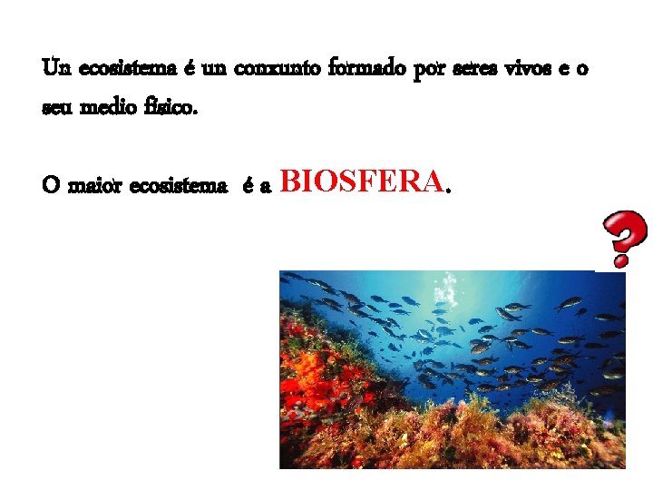 Un ecosistema é un conxunto formado por seres vivos e o seu medio físico.