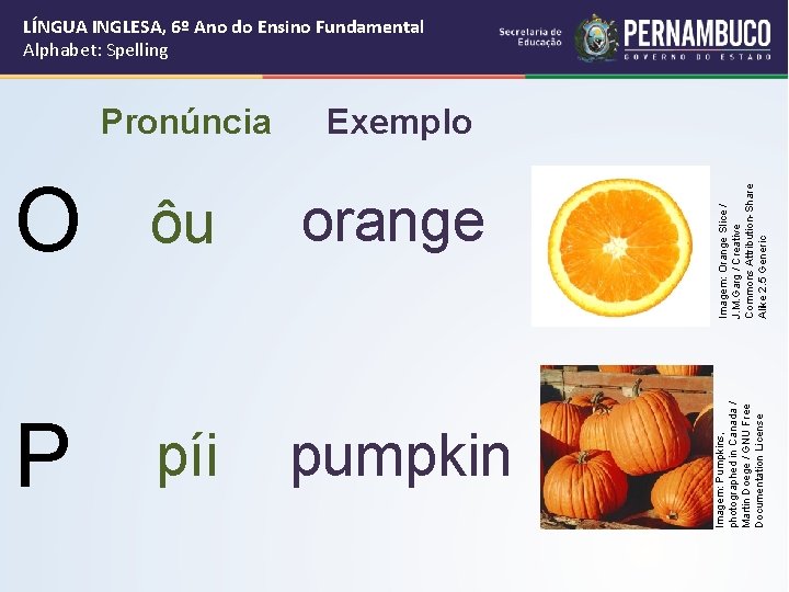 Exemplo O ôu orange P píi pumpkin Imagem: Orange Slice / J. M. Garg