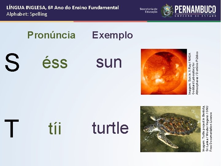 S éss sun T tíi turtle Imagem: Turtle project in Bentota, Sri Lanka /