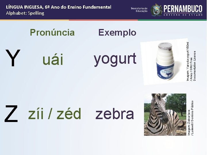 Y Z Exemplo uái yogurt zíi / zéd zebra Imagem: Yasuda yogurt 150 ml