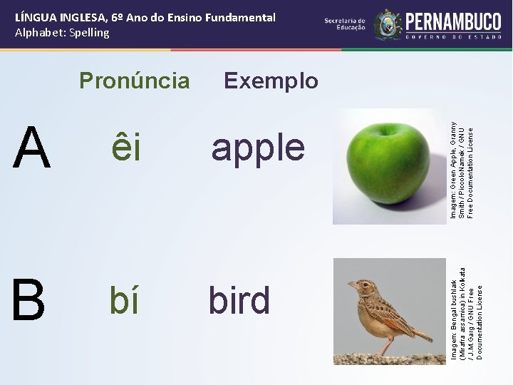 A êi apple B bí bird Imagem: Green Apple, Granny Smith / Piccolo. Namek