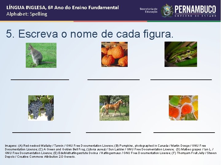 LÍNGUA INGLESA, 6º Ano do Ensino Fundamental Alphabet: Spelling 5. Escreva o nome de