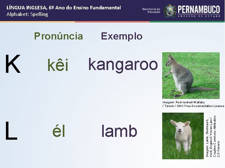 LÍNGUA INGLESA, 6º Ano do Ensino Fundamental Alphabet: Spelling K Pronúncia Exemplo kêi kangaroo