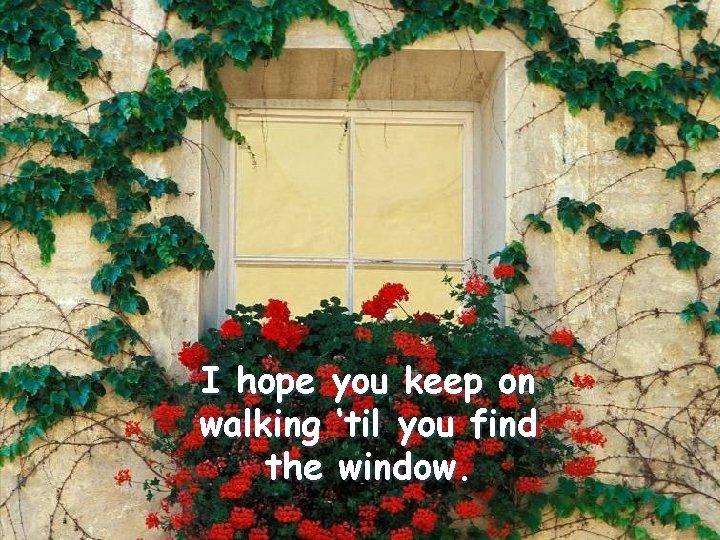 I hope you keep on walking ‘til you find the window. 