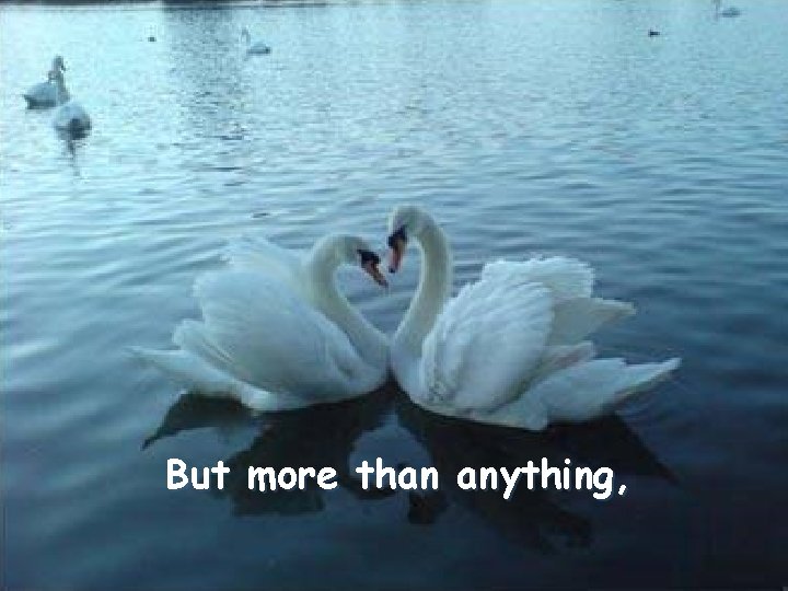 But more than anything, 