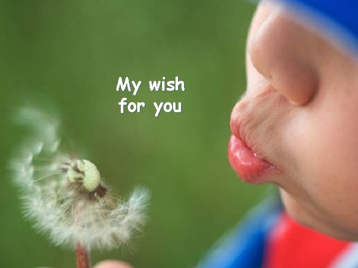 My wish for you 