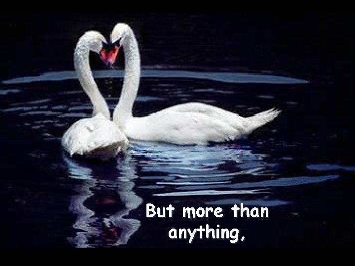 But more than anything, 