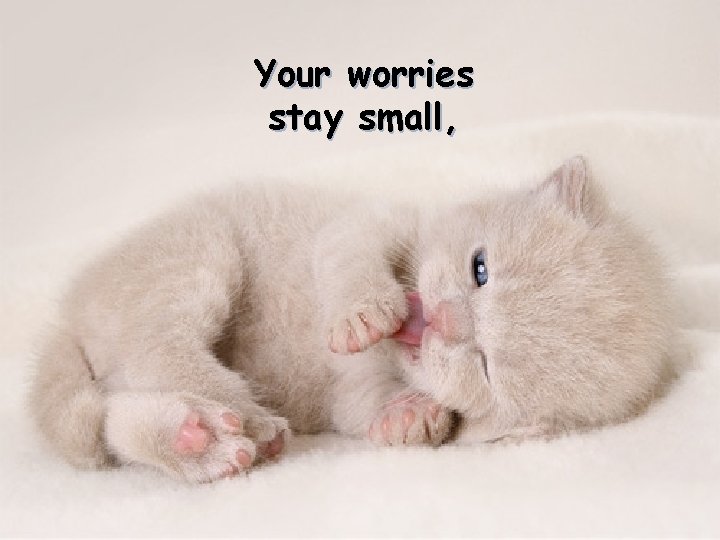 Your worries stay small, 