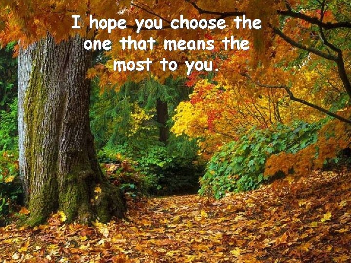 I hope you choose the one that means the most to you. 