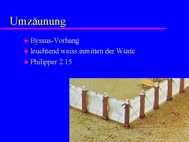 Umzäunung Byssus-Vorhang leuchtend weiss inmitten der Wüste Philipper 2. 15 