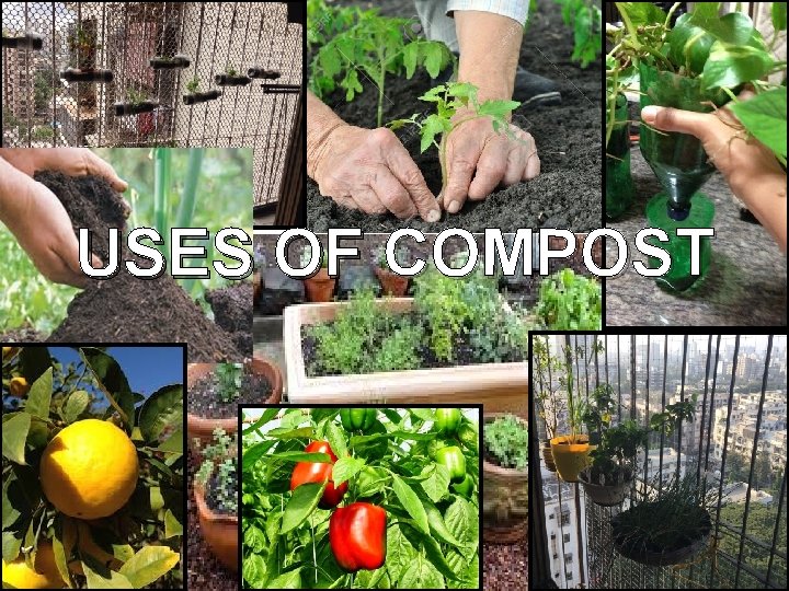 USES OF COMPOST 