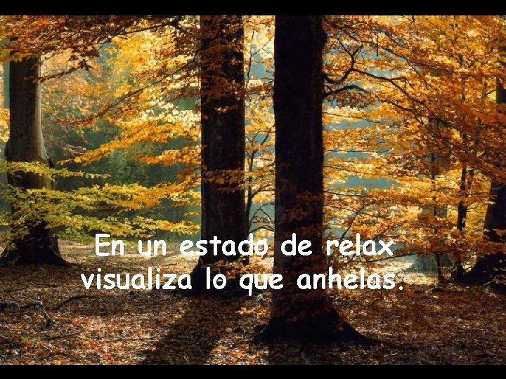 En un estado de relax visualiza lo que anhelas. 