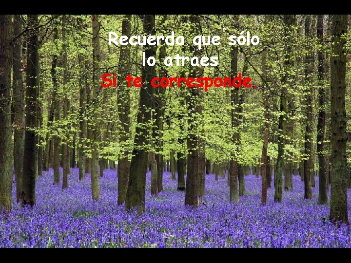 Recuerda que sólo lo atraes Si te corresponde. 