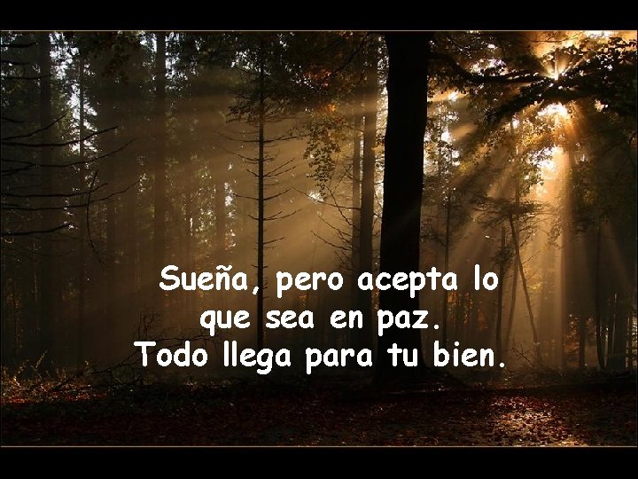 Sueña, pero acepta lo que sea en paz. Todo llega para tu bien. 