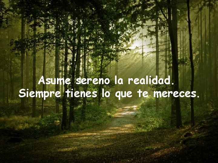 Asume sereno la realidad. Siempre tienes lo que te mereces. 