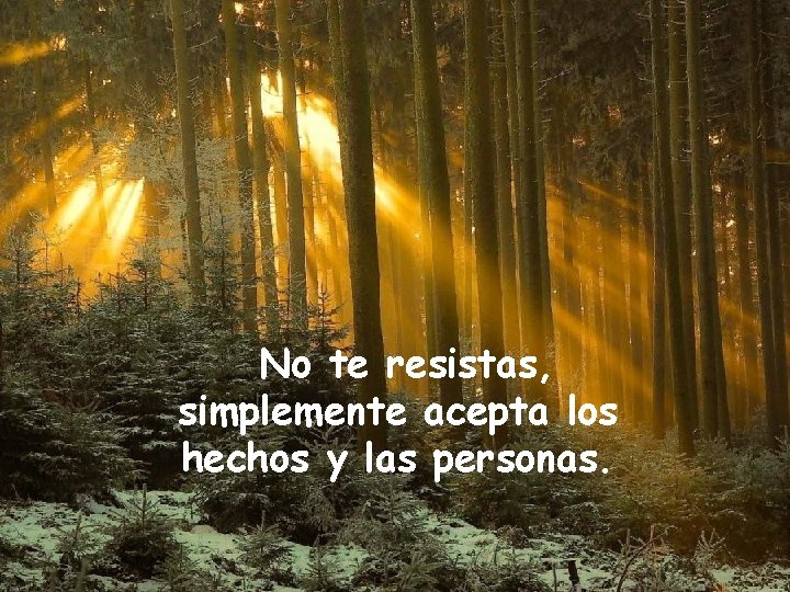 No te resistas, simplemente acepta los hechos y las personas. 