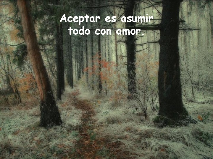 Aceptar es asumir todo con amor. 