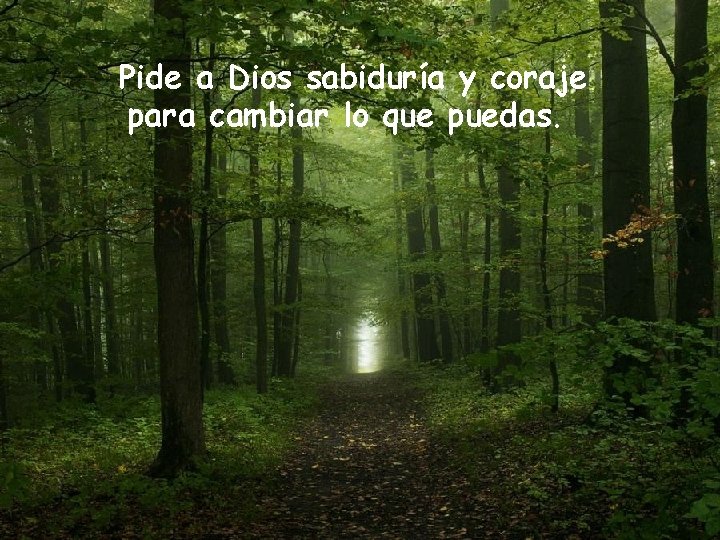 Pide a Dios sabiduría y coraje para cambiar lo que puedas. 