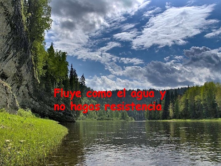 Fluye como el agua y no hagas resistencia. 