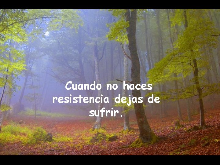 Cuando no haces resistencia dejas de sufrir. 
