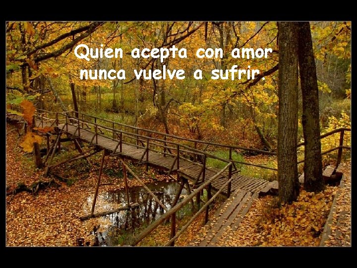 Quien acepta con amor nunca vuelve a sufrir. 