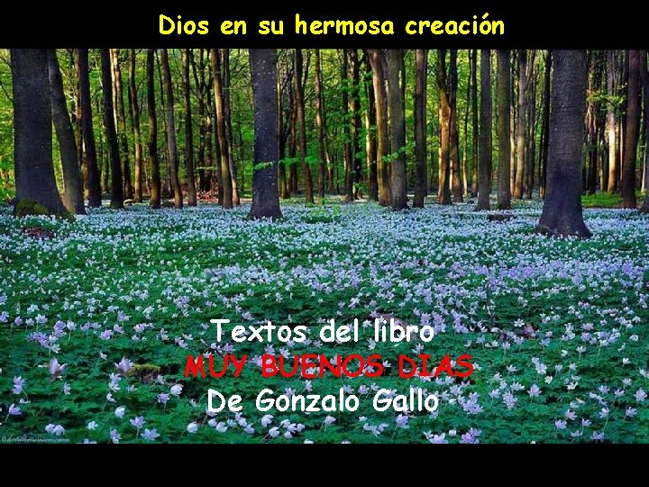 Dios en su hermosa creación Textos del libro MUY BUENOS DIAS De Gonzalo Gallo