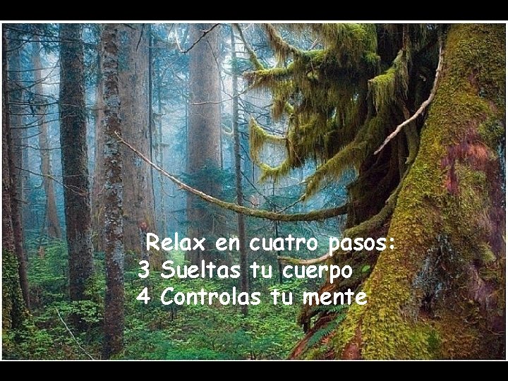 Relax en cuatro pasos: 3 Sueltas tu cuerpo 4 Controlas tu mente 