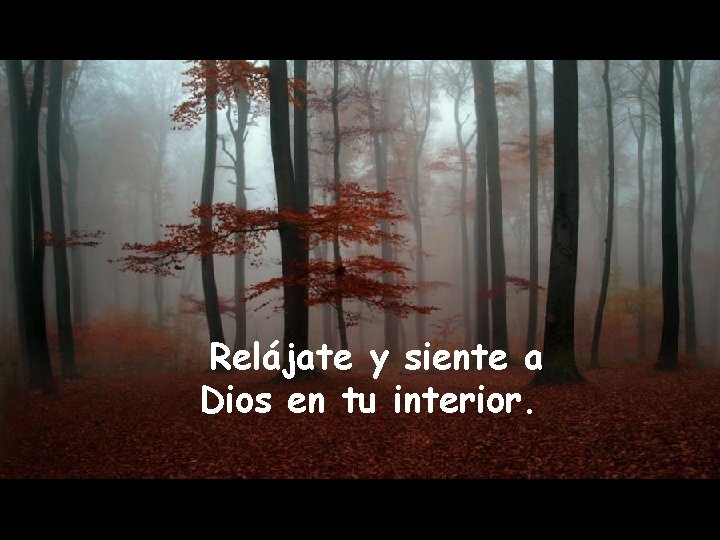 Relájate y siente a Dios en tu interior. 