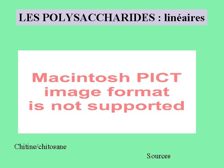 LES POLYSACCHARIDES : linéaires Chitine/chitosane Sources 