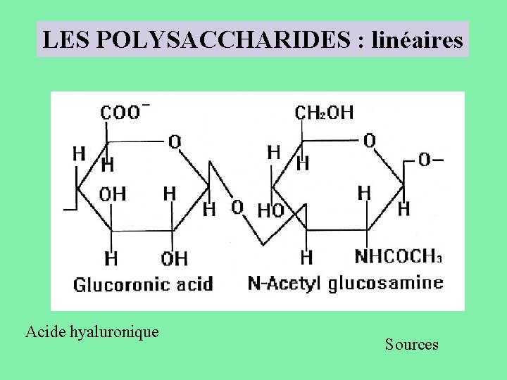 LES POLYSACCHARIDES : linéaires Acide hyaluronique Sources 