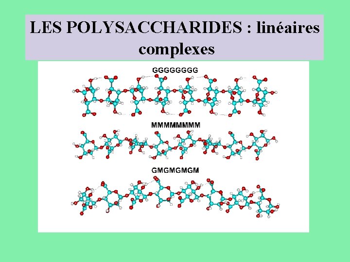 LES POLYSACCHARIDES : linéaires complexes 