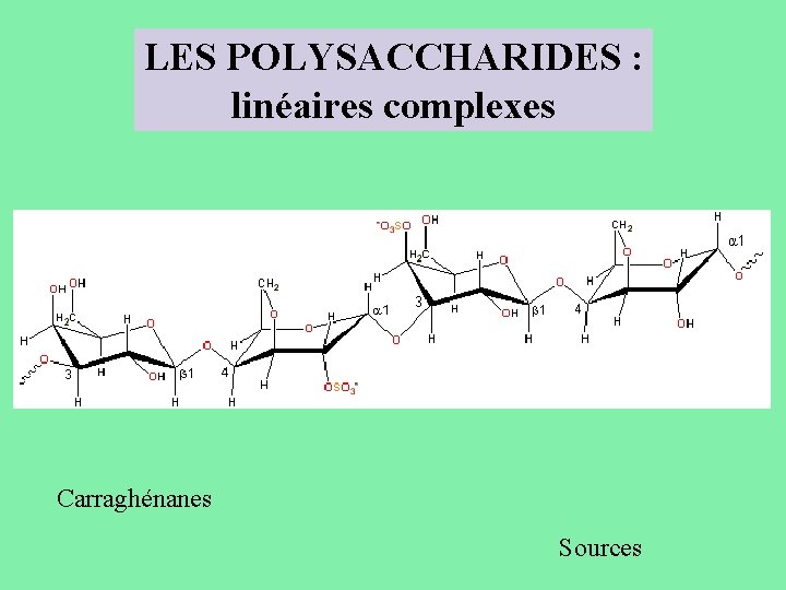 LES POLYSACCHARIDES : linéaires complexes Carraghénanes Sources 