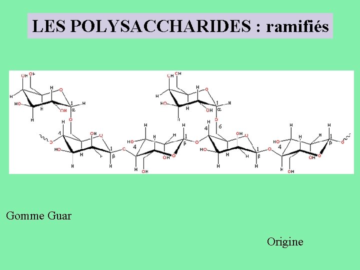 LES POLYSACCHARIDES : ramifiés Gomme Guar Origine 