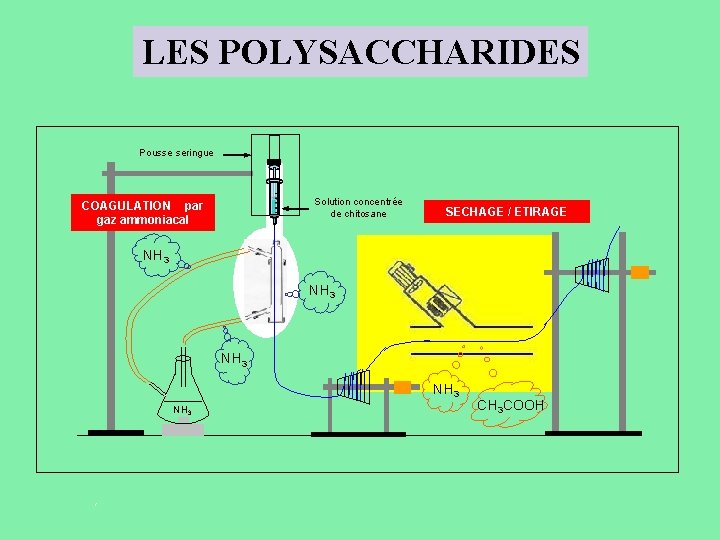 LES POLYSACCHARIDES Pousse seringue Solution concentrée de chitosane COAGULATION par gaz ammoniacal SECHAGE /