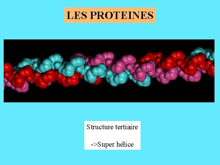 LES PROTEINES Structure tertiaire ->Super hélice 