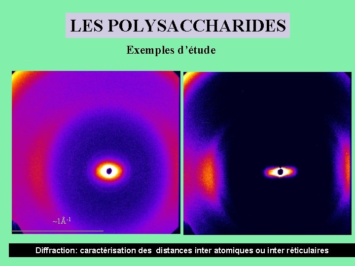 LES POLYSACCHARIDES Exemples d’étude ~1Å-1 Diffraction: caractérisation des distances inter atomiques ou inter réticulaires