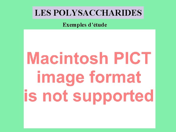 LES POLYSACCHARIDES Exemples d’étude 