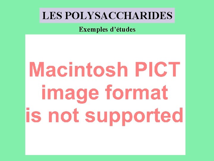 LES POLYSACCHARIDES Exemples d’études 